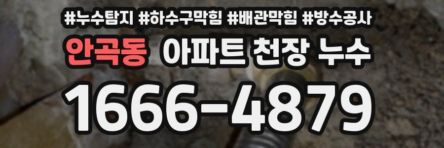 안곡동 아파트 천장 누수