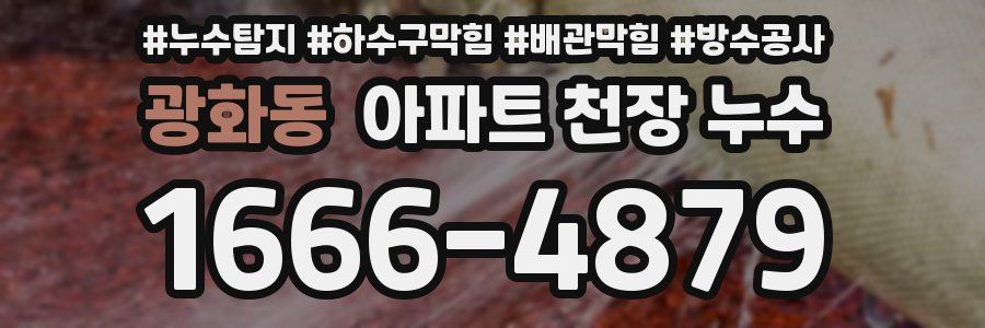 광화동 아파트 천장 누수