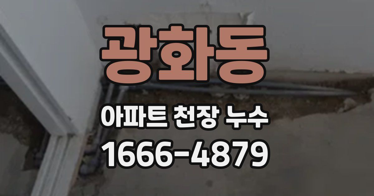 광화동 아파트 천장 누수