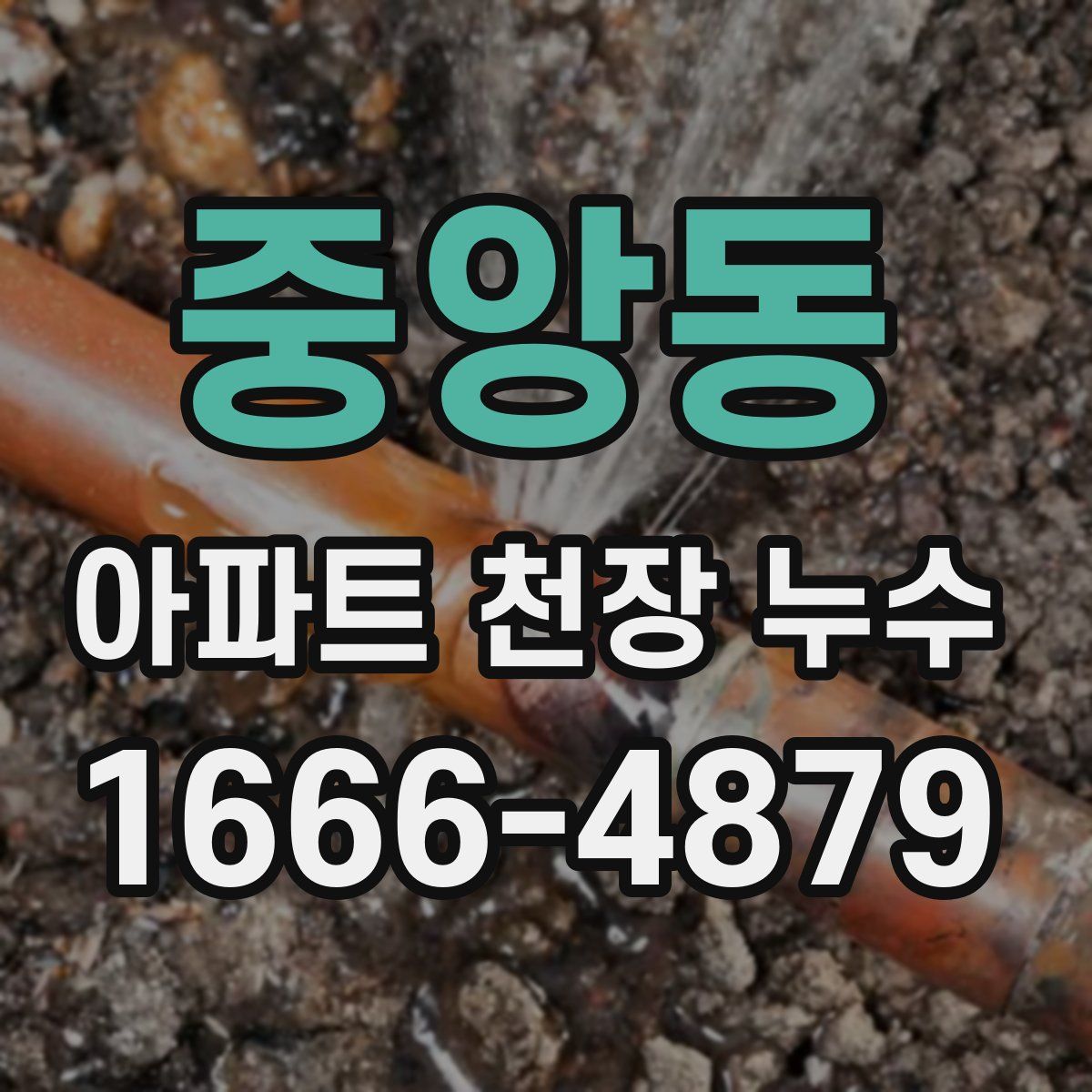 중앙동 아파트 천장 누수