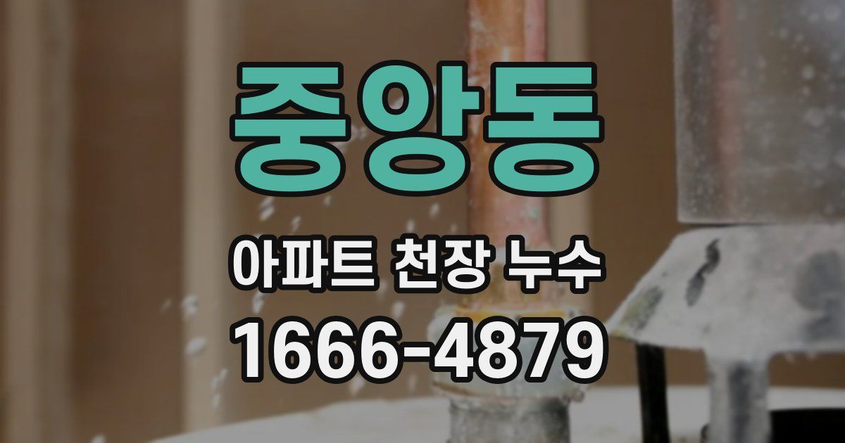 중앙동 아파트 천장 누수