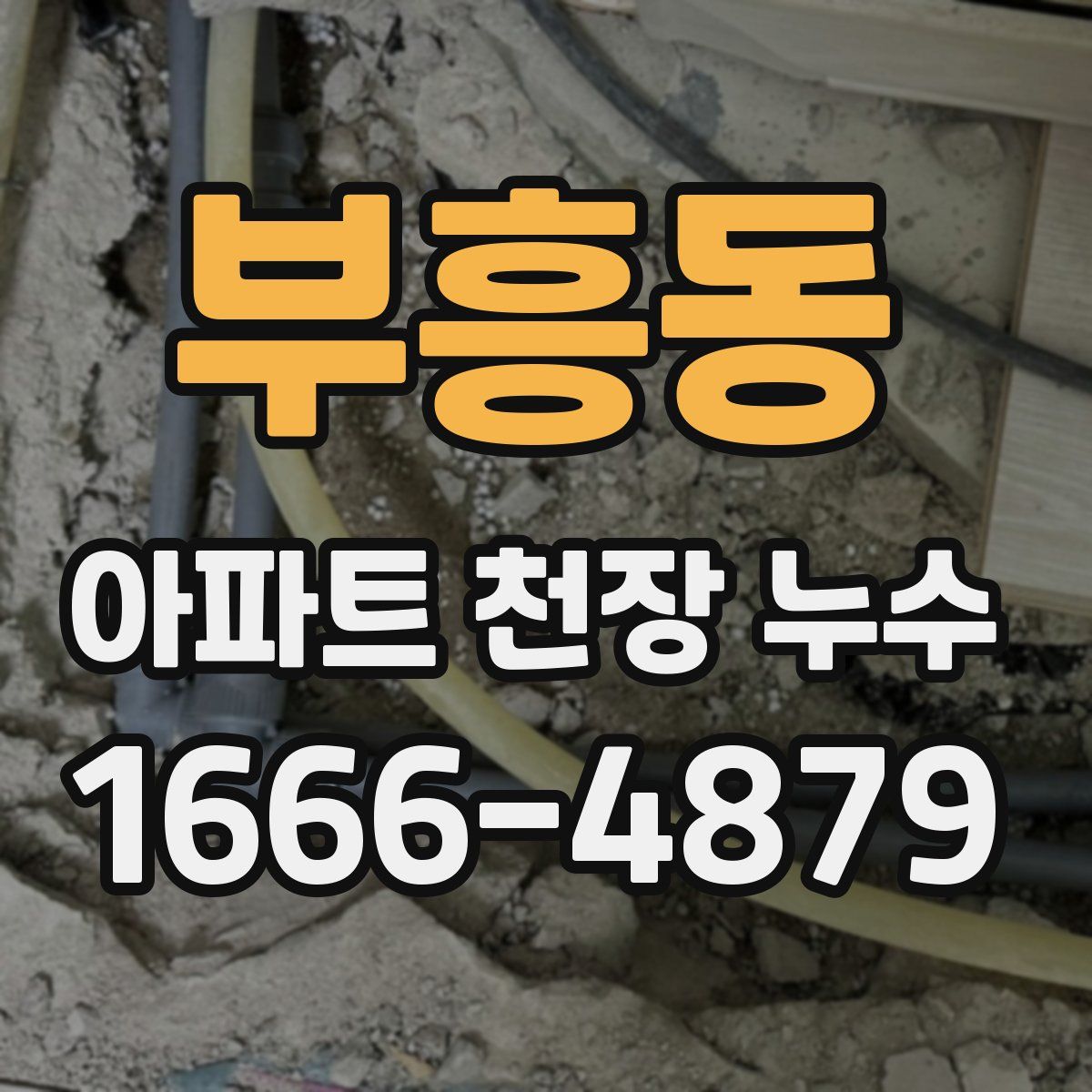 부흥동 아파트 천장 누수
