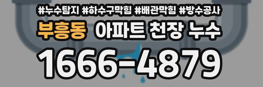 부흥동 아파트 천장 누수