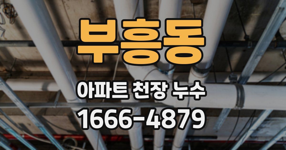 부흥동 아파트 천장 누수