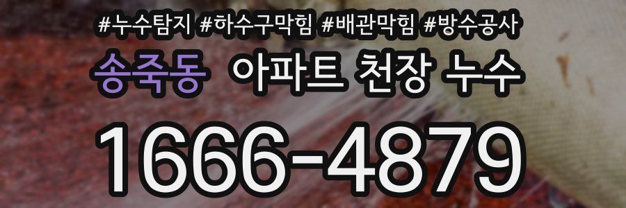 송죽동 아파트 천장 누수