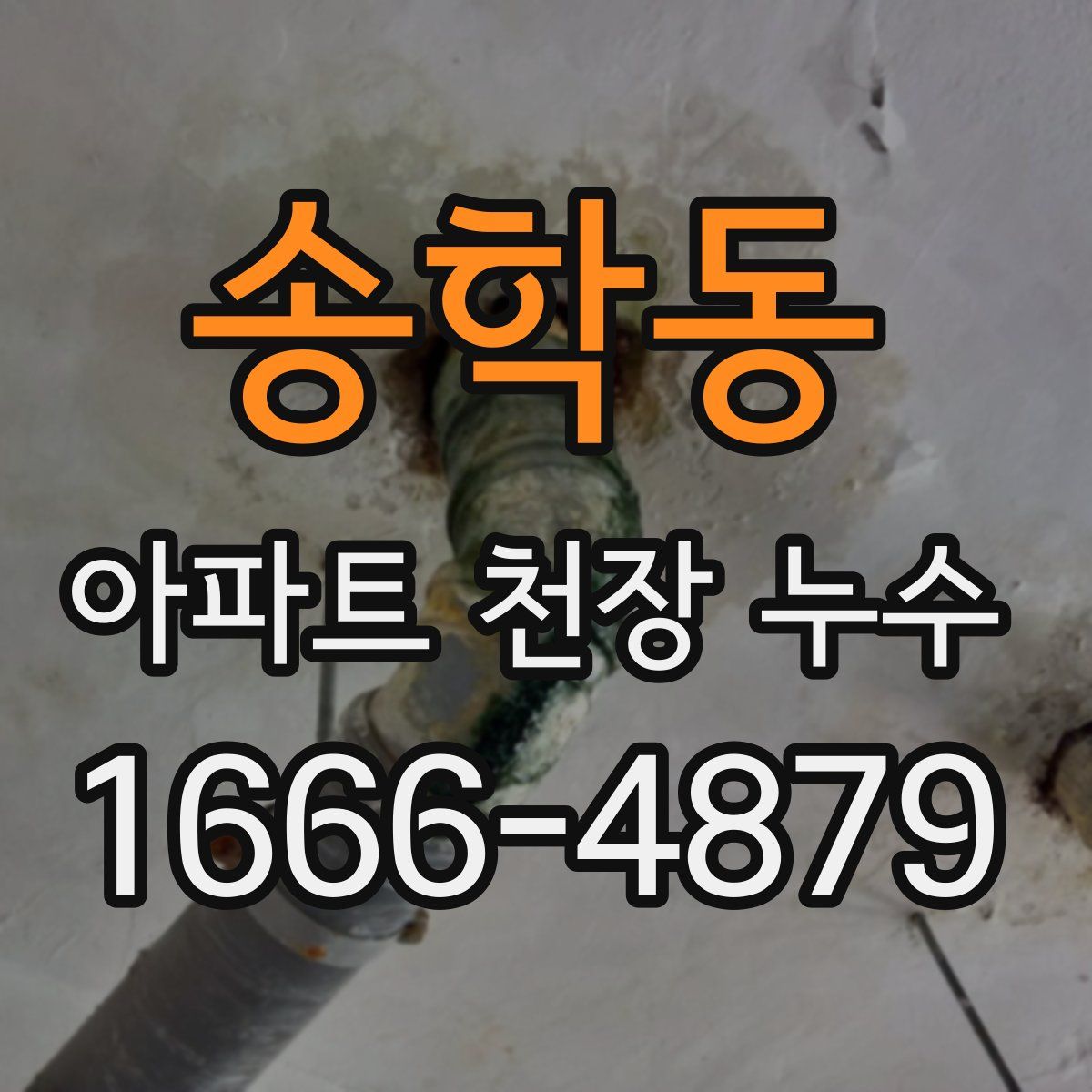 송학동 아파트 천장 누수