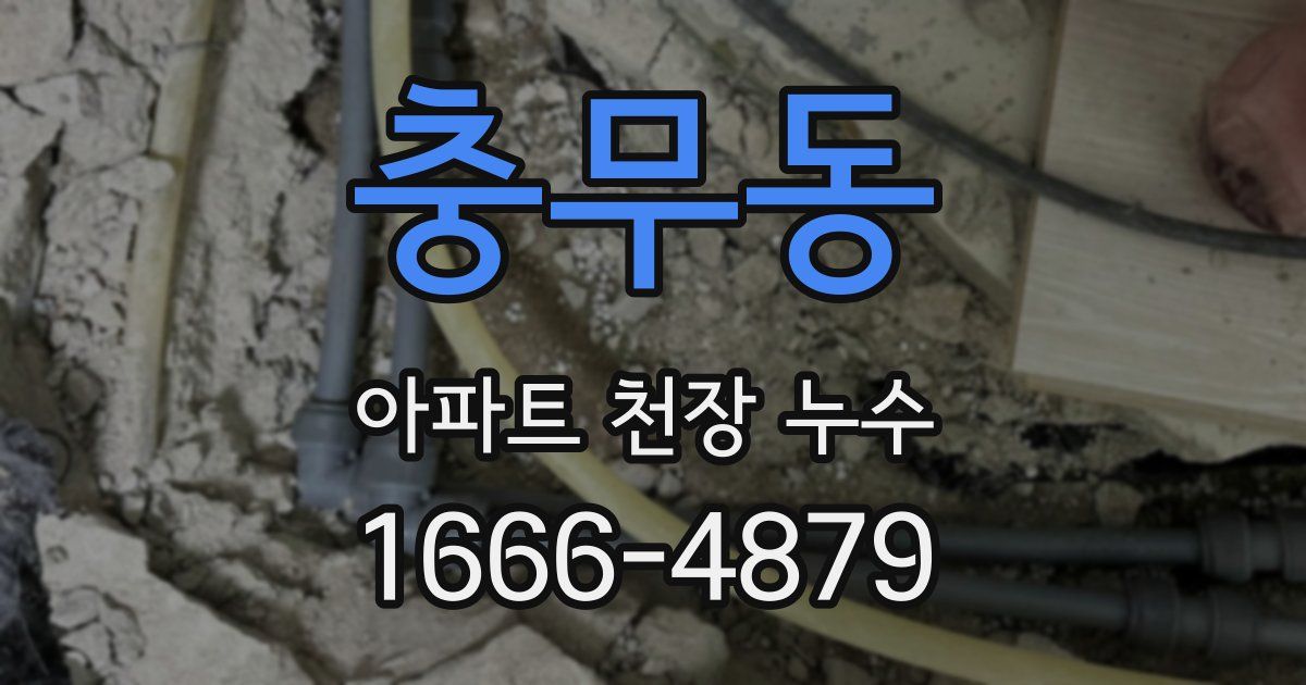 충무동 아파트 천장 누수