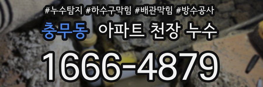 충무동 아파트 천장 누수