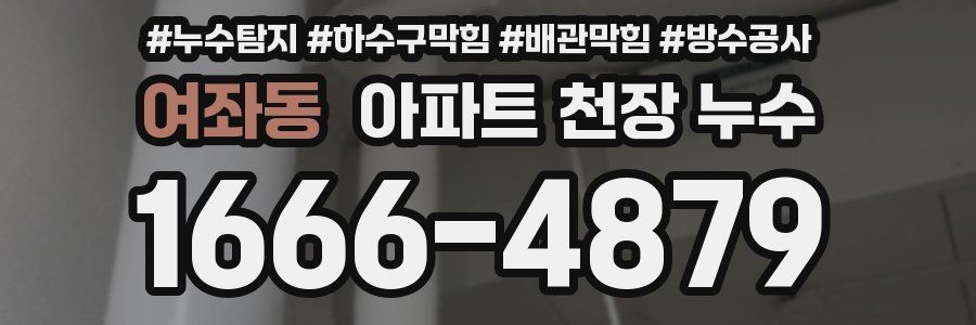 여좌동 아파트 천장 누수