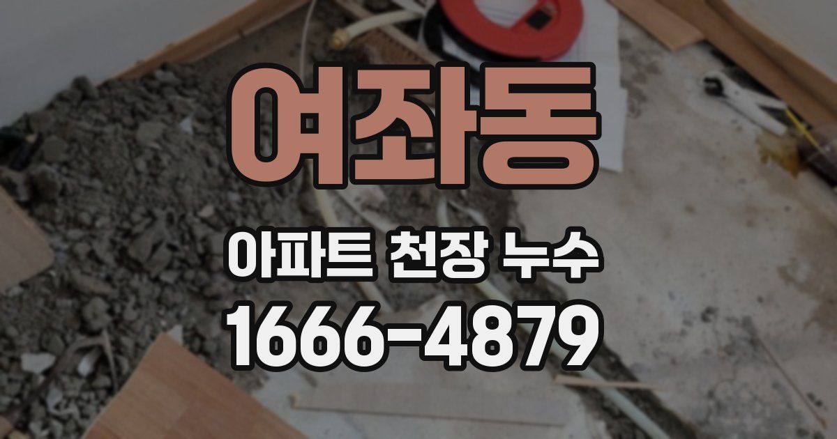 여좌동 아파트 천장 누수