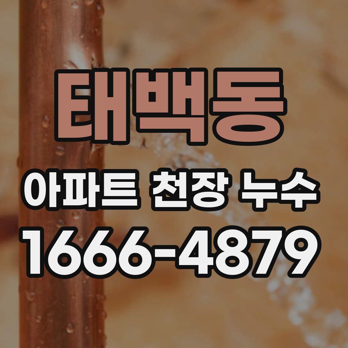 태백동 아파트 천장 누수