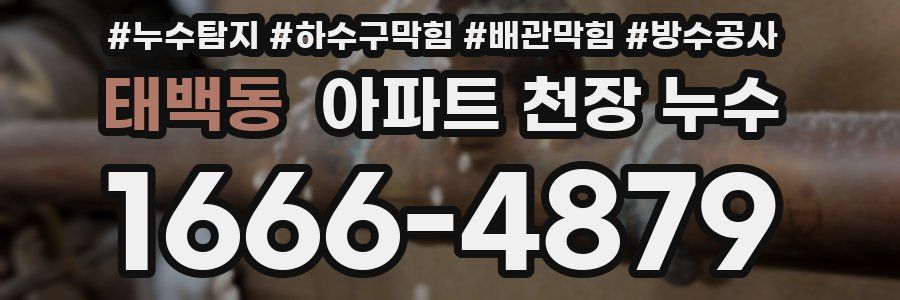 태백동 아파트 천장 누수