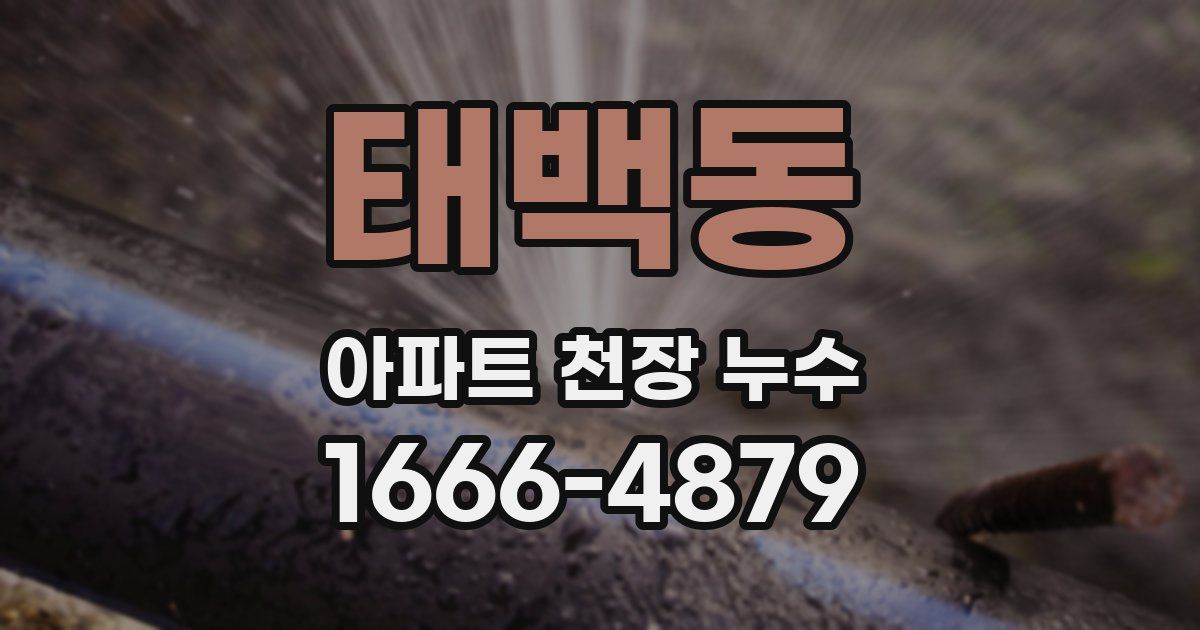 태백동 아파트 천장 누수