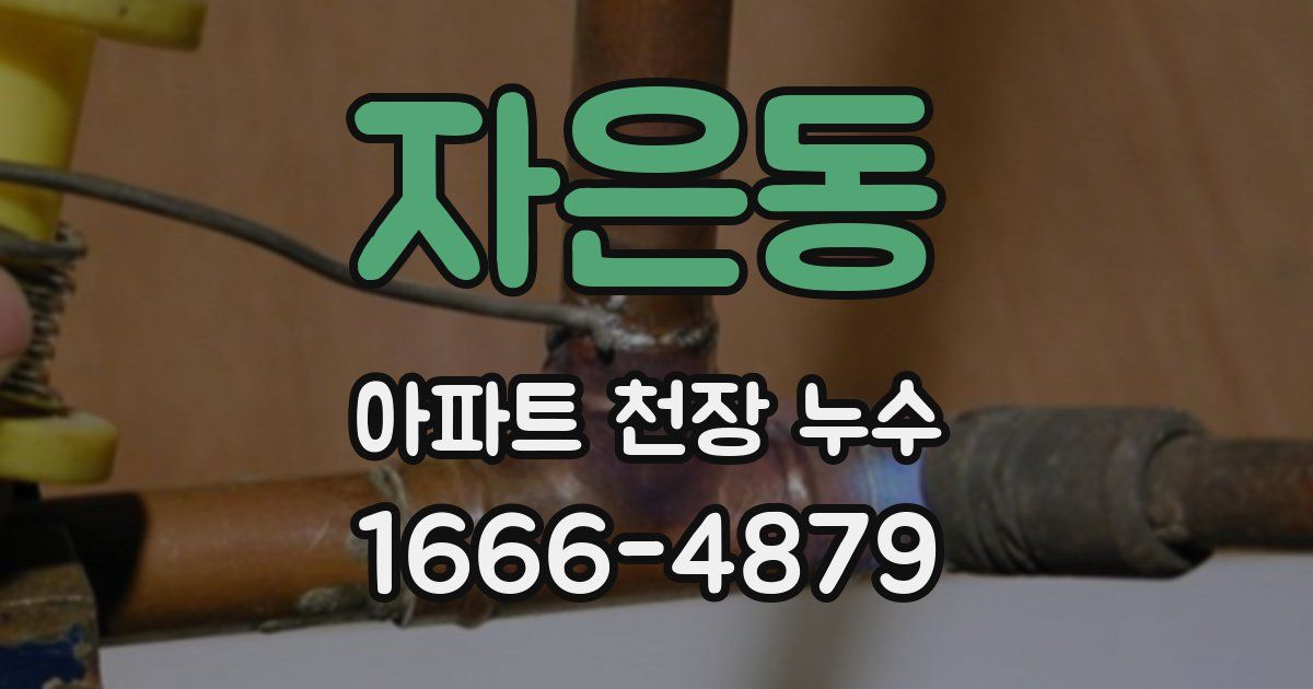 자은동 아파트 천장 누수