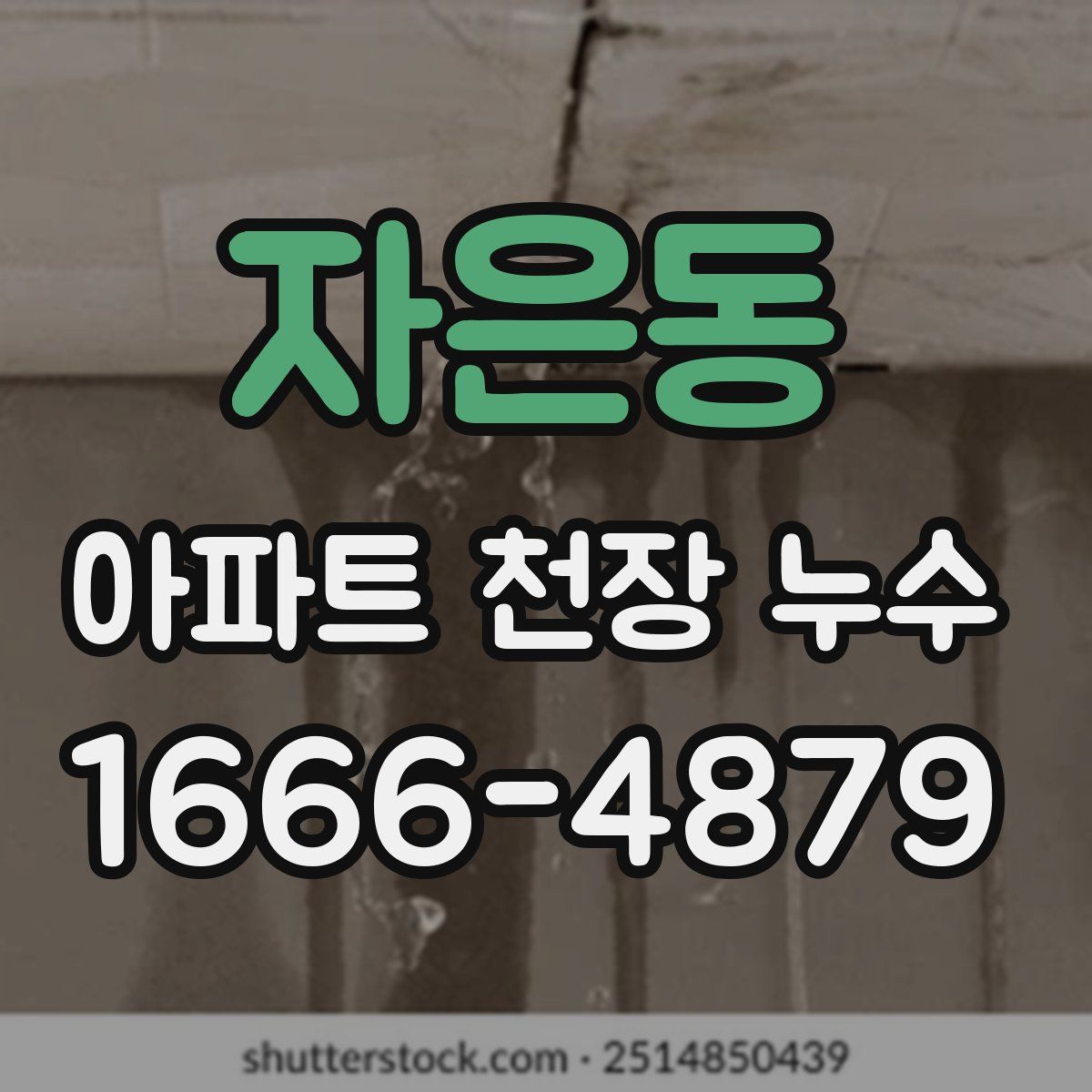 자은동 아파트 천장 누수