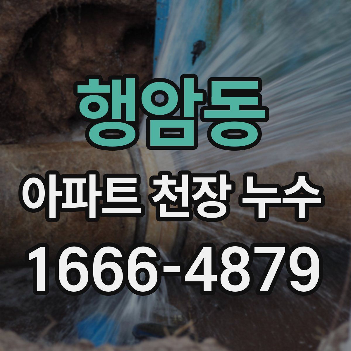 행암동 아파트 천장 누수