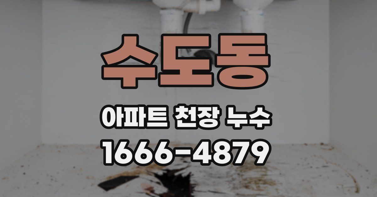 수도동 아파트 천장 누수