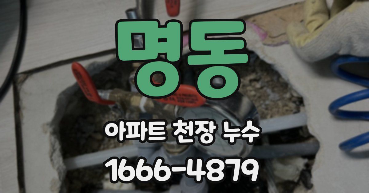 명동 아파트 천장 누수