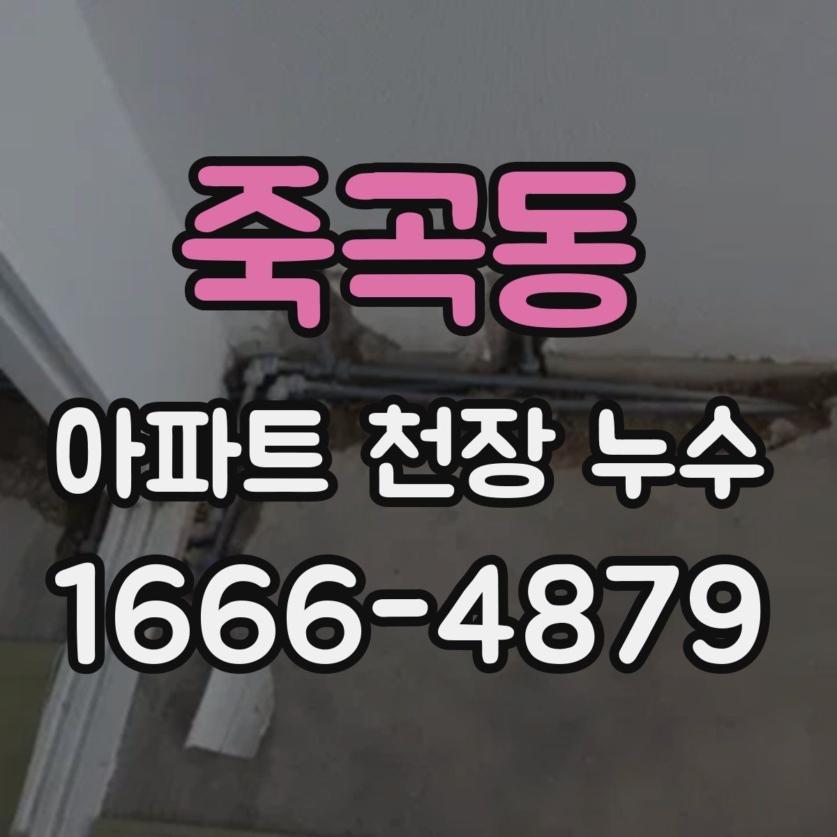 죽곡동 아파트 천장 누수