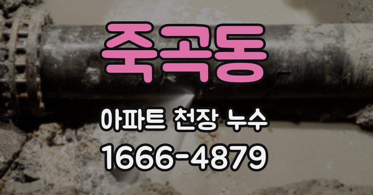 죽곡동 아파트 천장 누수