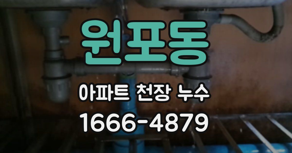 원포동 아파트 천장 누수