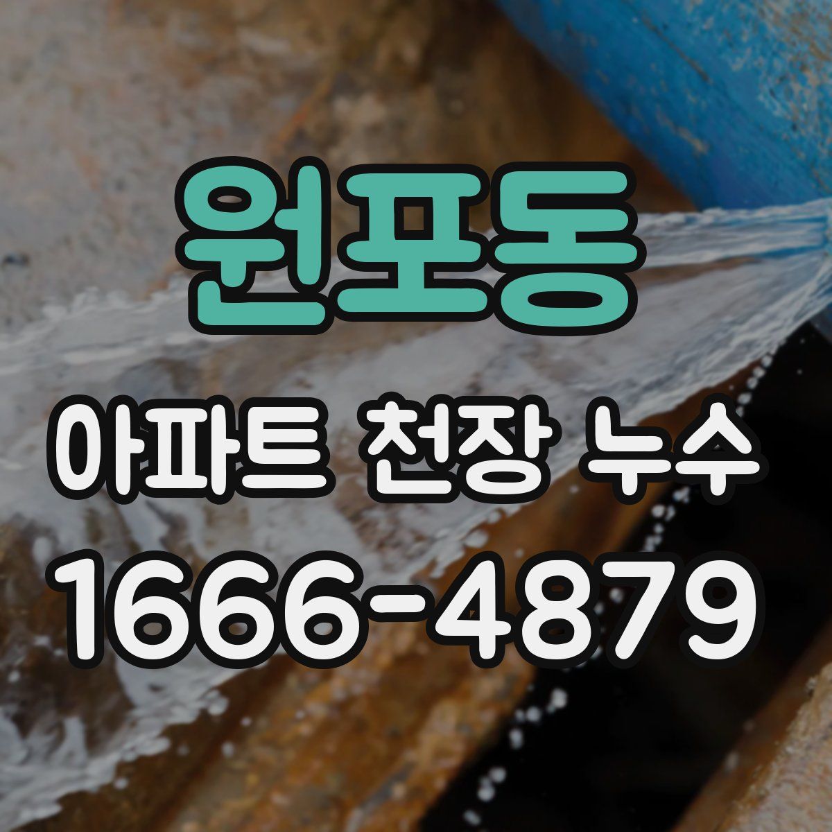 원포동 아파트 천장 누수