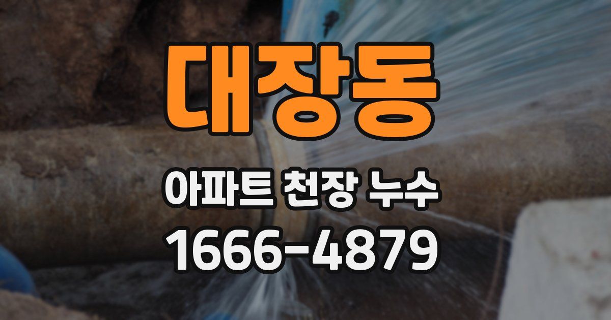 대장동 아파트 천장 누수
