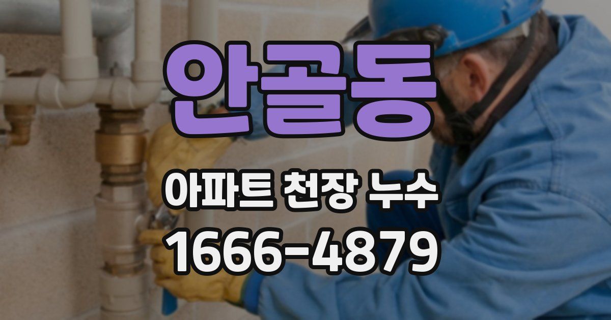 안골동 아파트 천장 누수
