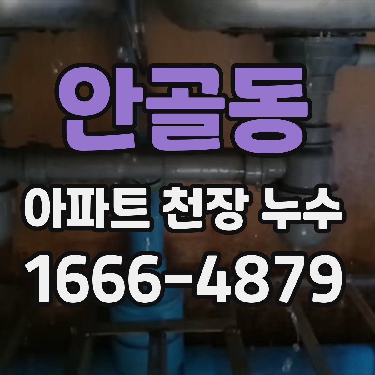안골동 아파트 천장 누수