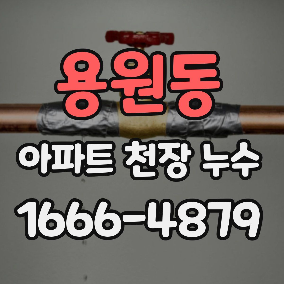 용원동 아파트 천장 누수