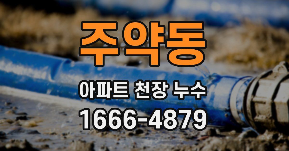 주약동 아파트 천장 누수