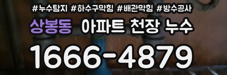 상봉동 아파트 천장 누수
