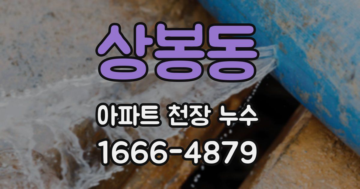 상봉동 아파트 천장 누수