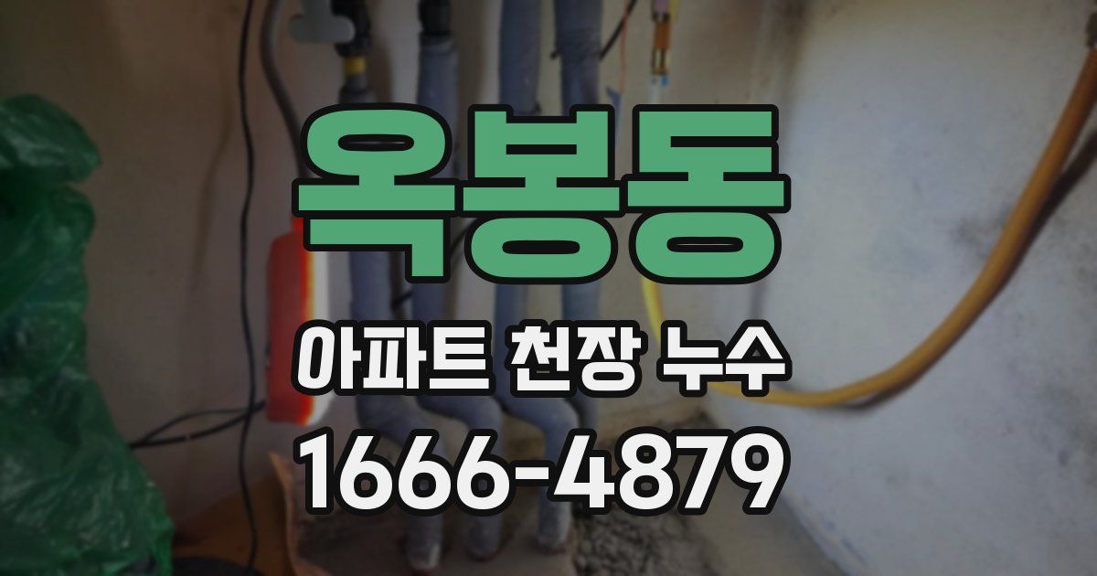 옥봉동 아파트 천장 누수