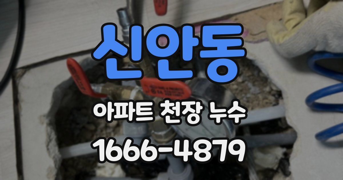 신안동 아파트 천장 누수