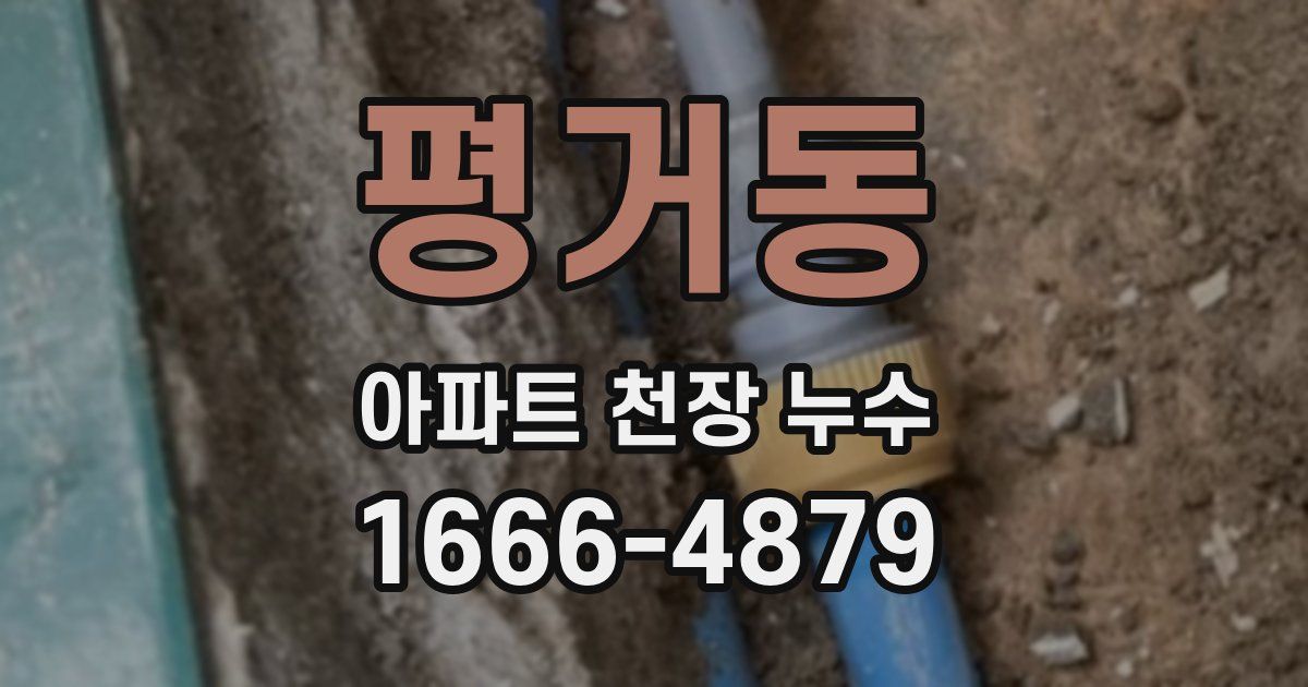 평거동 아파트 천장 누수