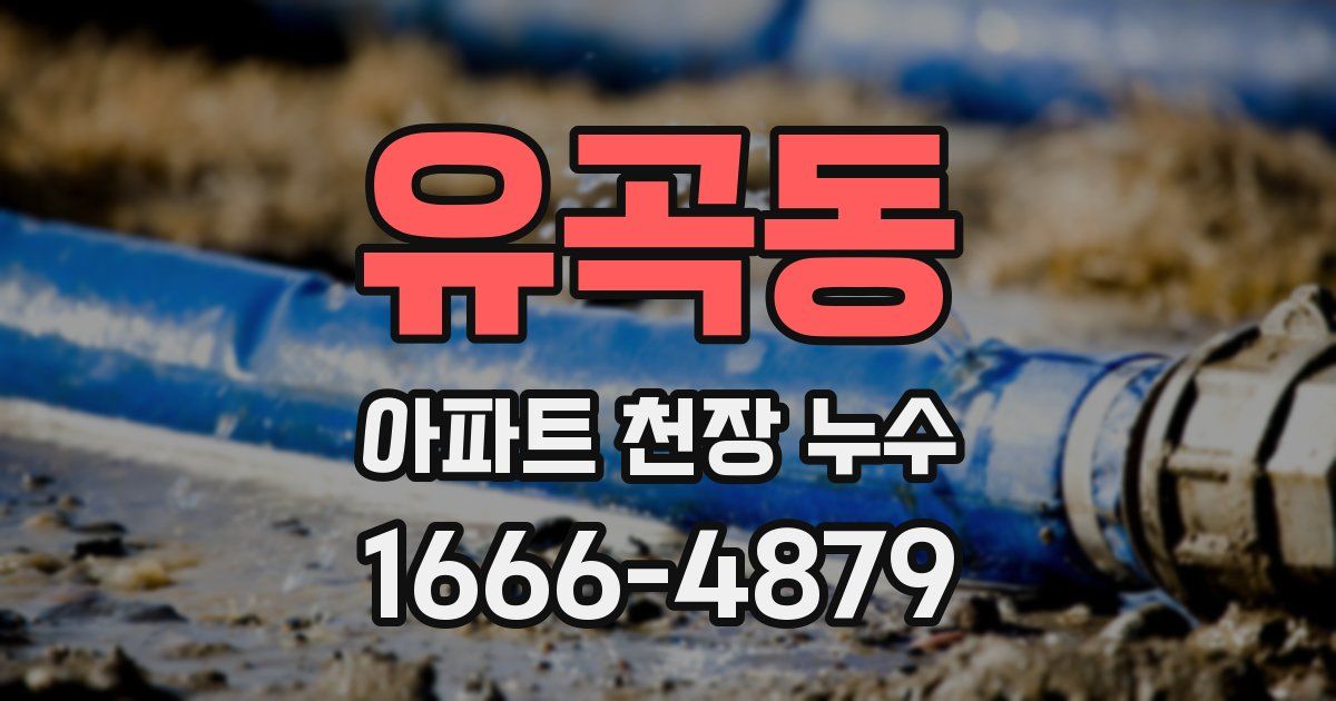 유곡동 아파트 천장 누수
