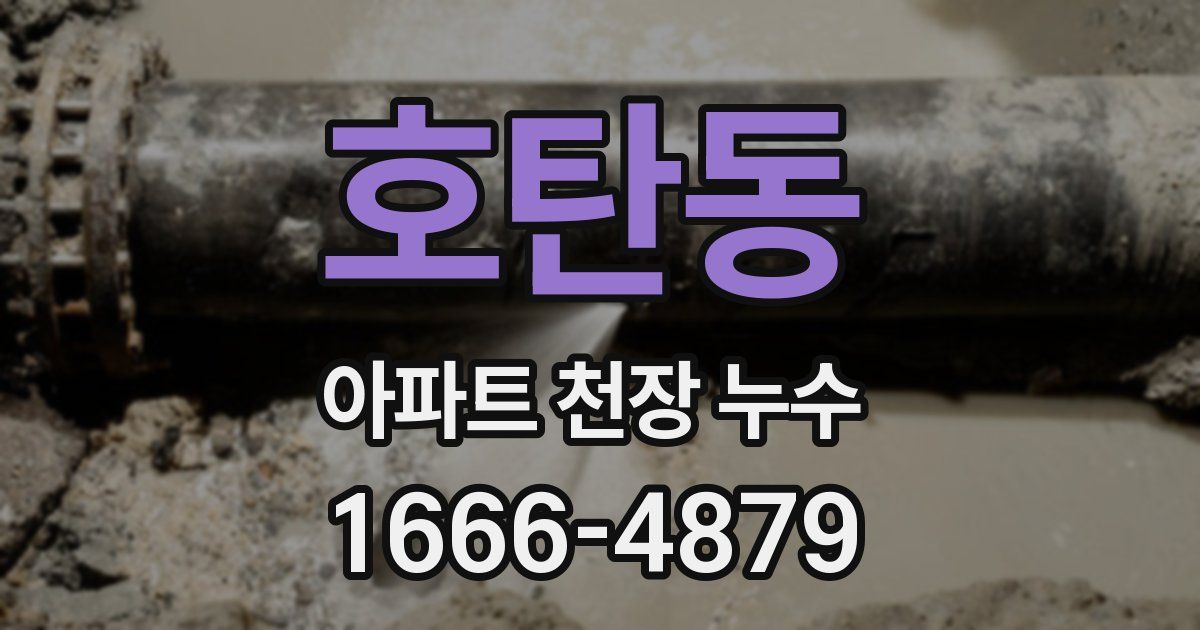 호탄동 아파트 천장 누수