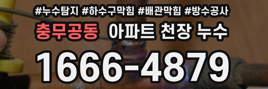 충무공동 아파트 천장 누수