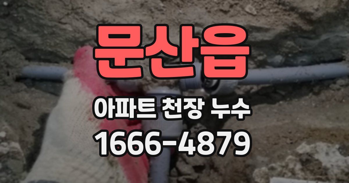 문산읍 아파트 천장 누수