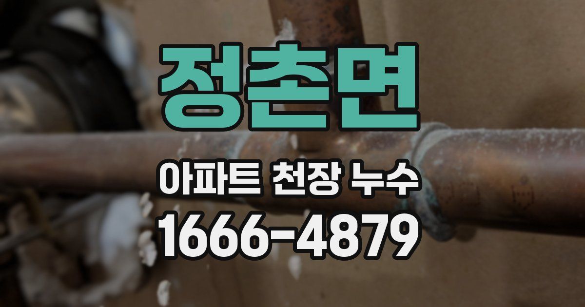 정촌면 아파트 천장 누수