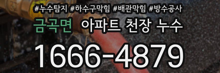 금곡면 아파트 천장 누수