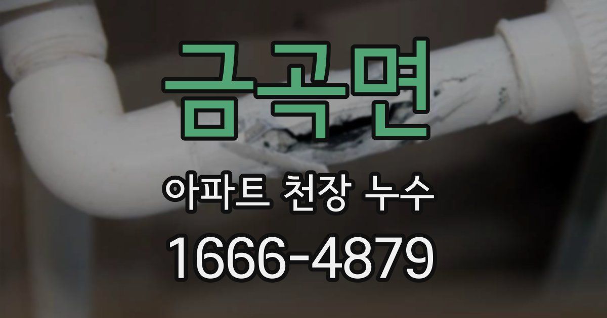 금곡면 아파트 천장 누수
