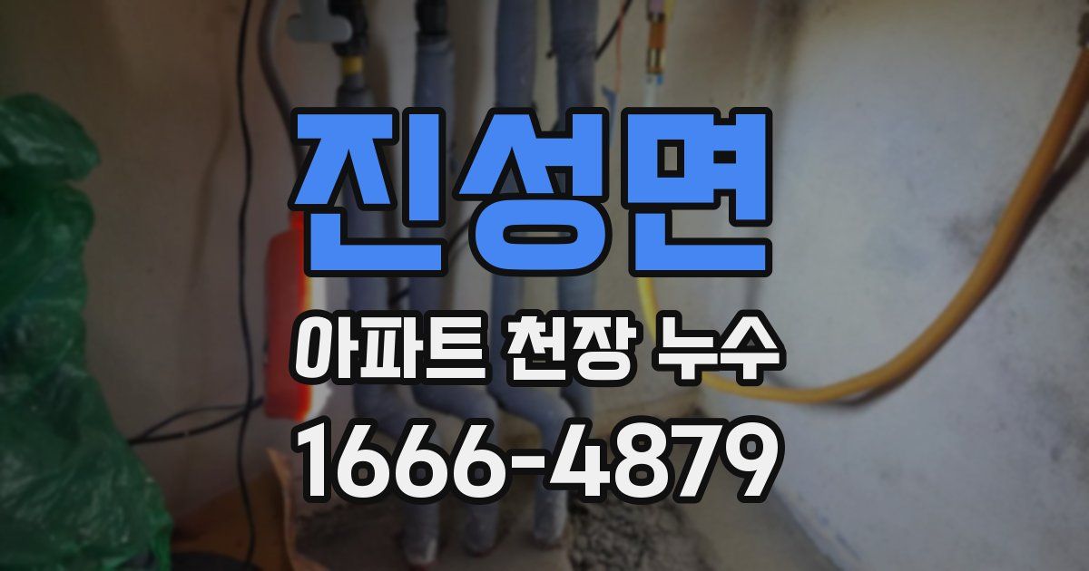진성면 아파트 천장 누수
