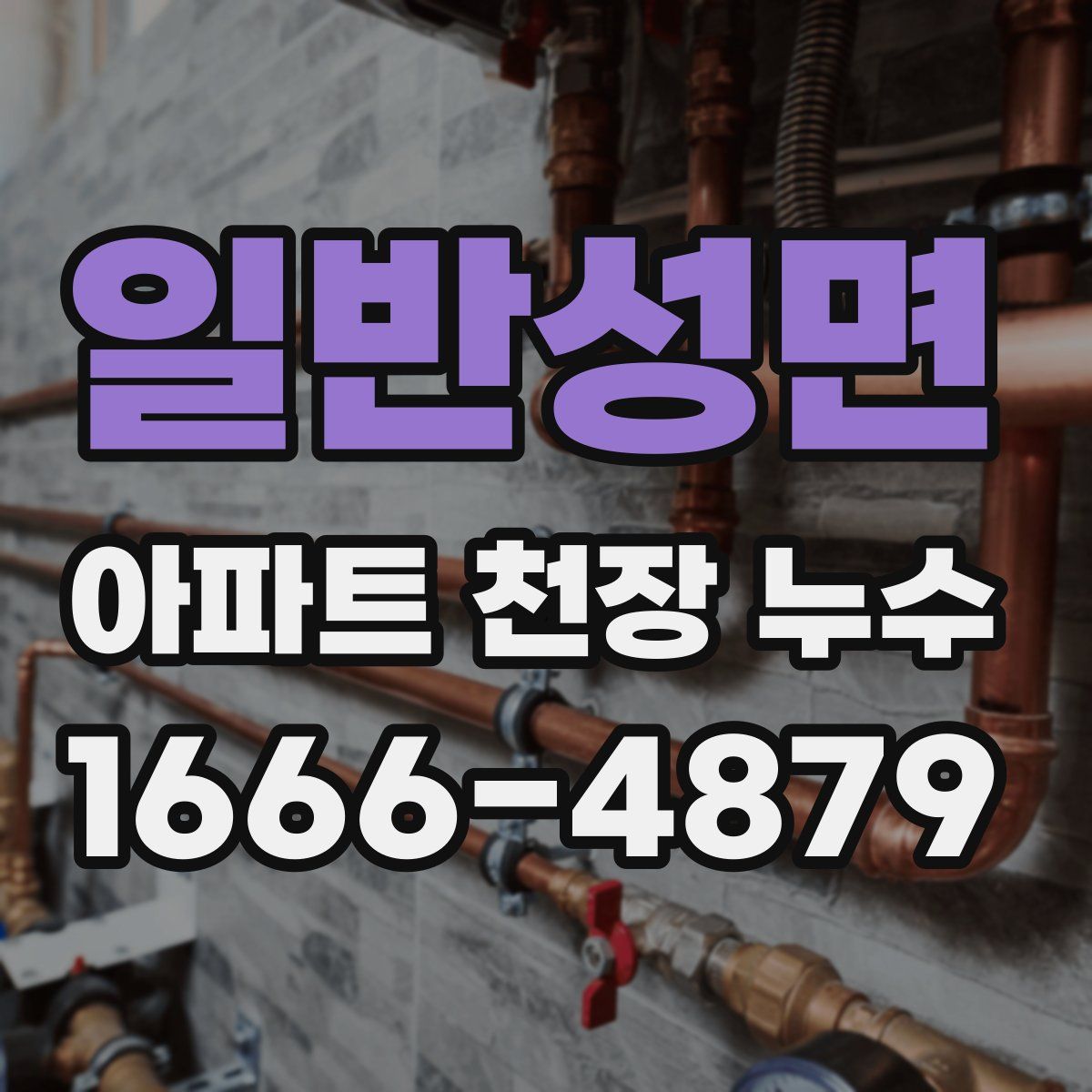 일반성면 아파트 천장 누수