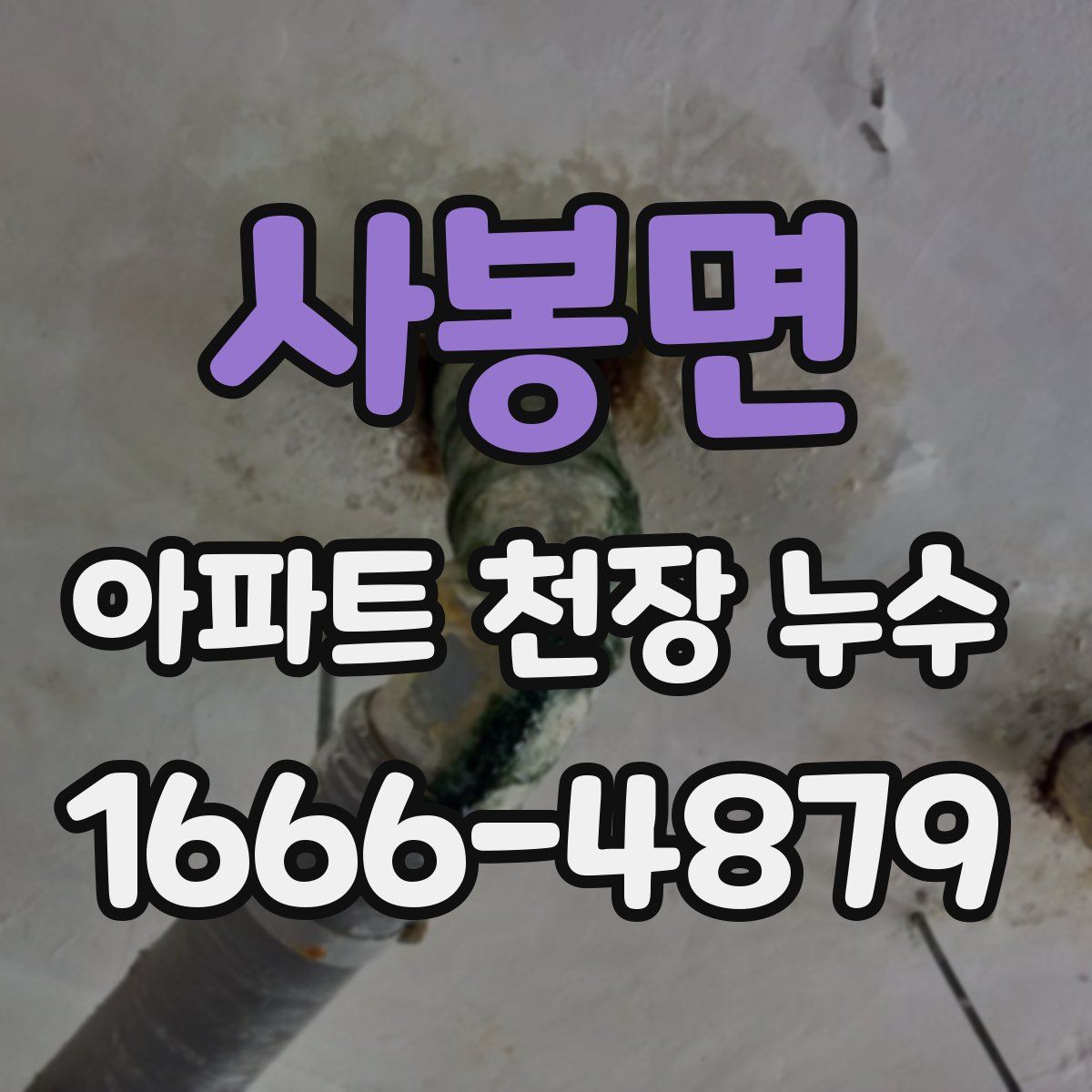 사봉면 아파트 천장 누수