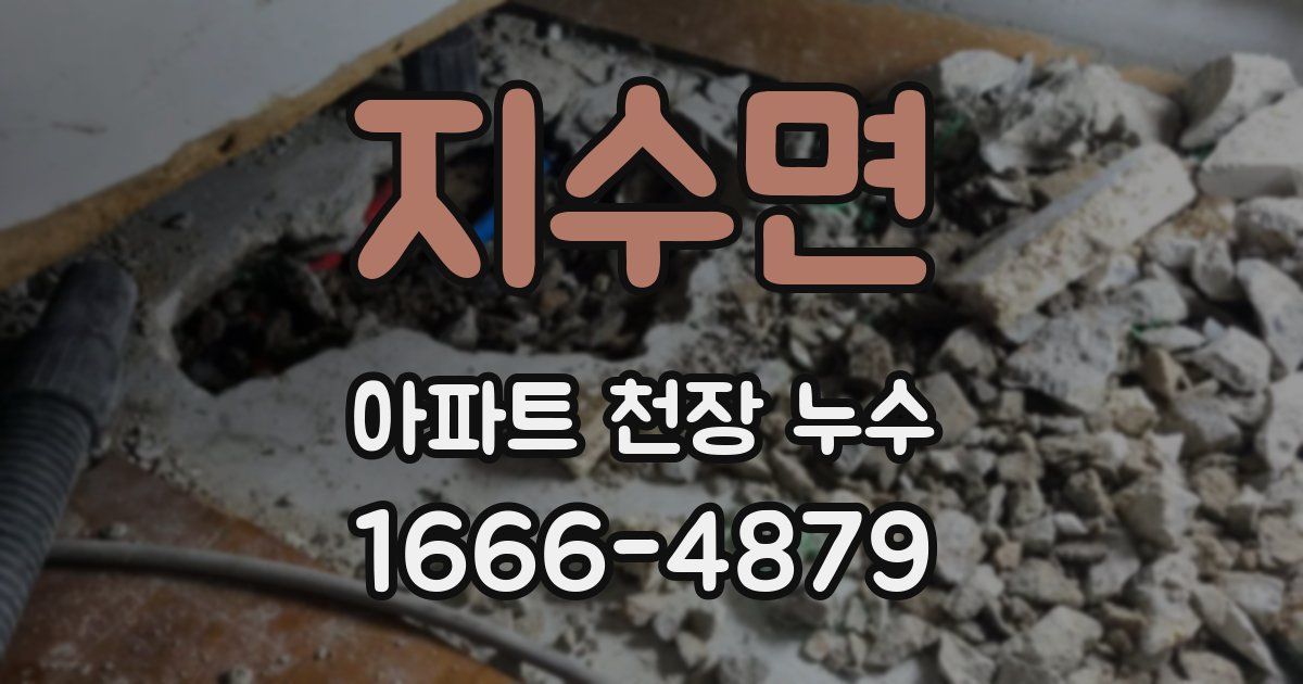 지수면 아파트 천장 누수