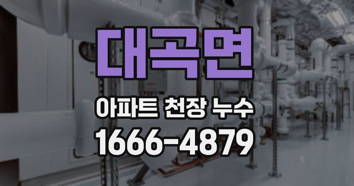 대곡면 아파트 천장 누수