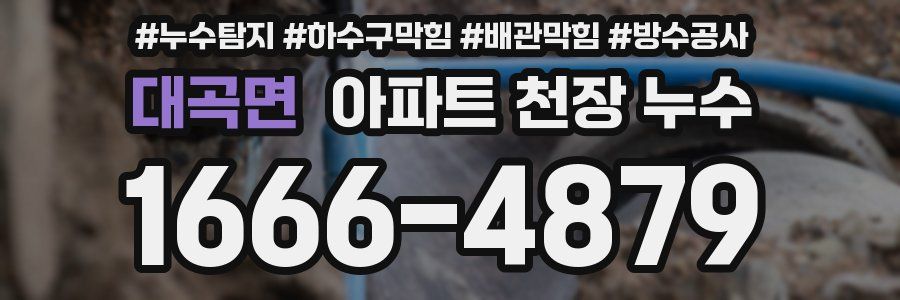 대곡면 아파트 천장 누수
