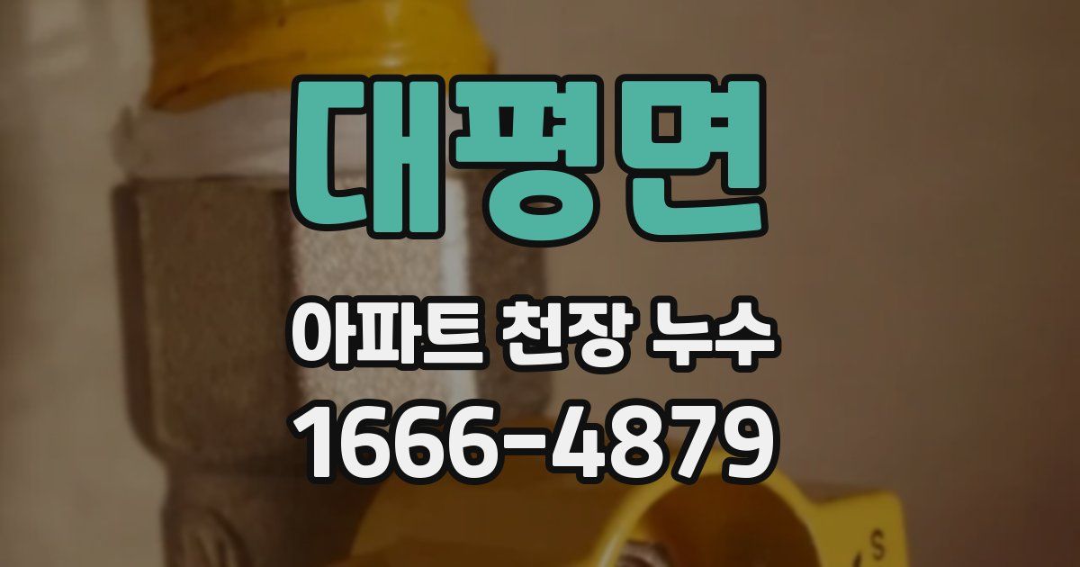 대평면 아파트 천장 누수